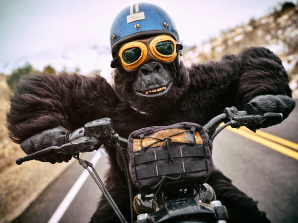 Funny biker